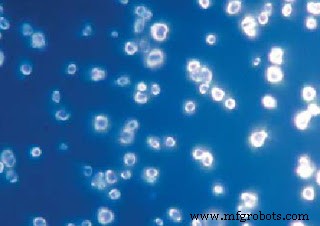 ナノダイヤモンド：生医学と量子応用への超精密磁気センサー