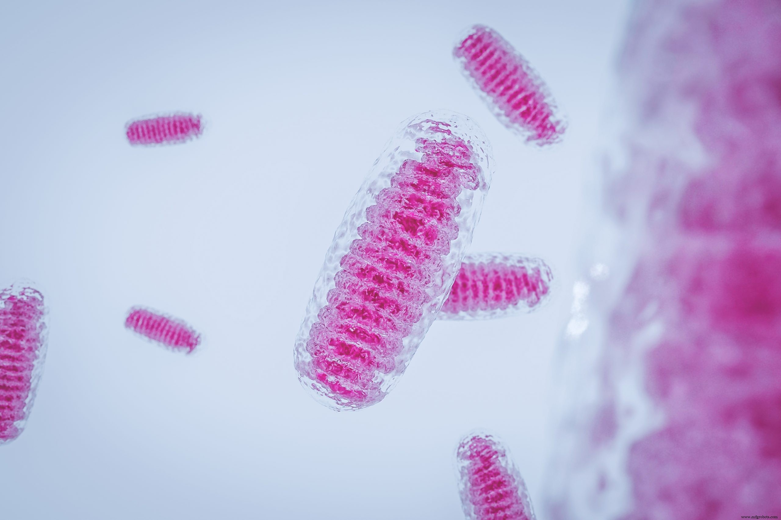 有機酸のpH依存性アン合毒性予測:生物物理スクリーニングツール