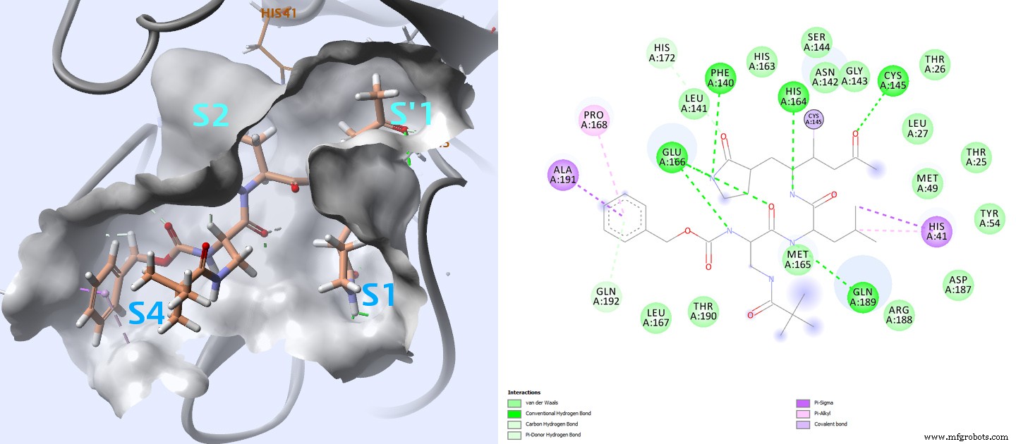 FDA承認薬の再配置でSARS-CoV-2主プロテアーゼを阻害：バーチャルスクリーニング分析