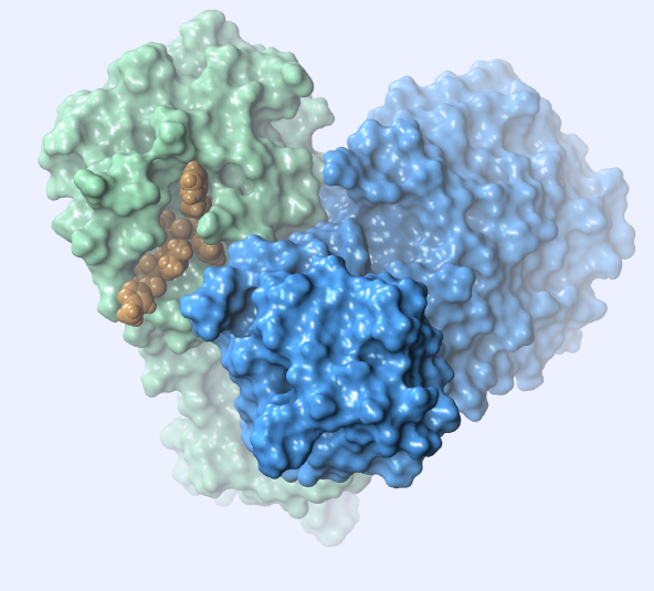 FDA承認薬の再配置でSARS-CoV-2主プロテアーゼを阻害：バーチャルスクリーニング分析