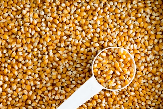 生分解性プラスチックの専門家概観：事実、歴史、用途