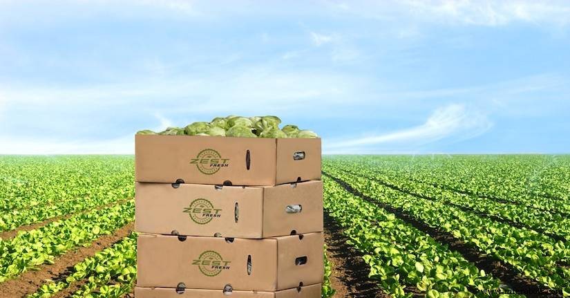 Zest Labs、IoTとブロックチェーンで生鮮食品サプライ・チェーンに革命を