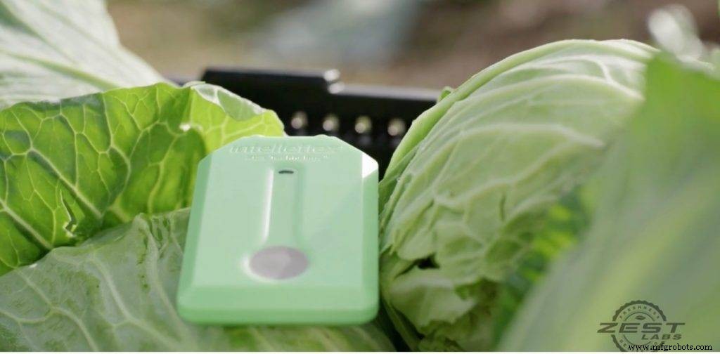 Zest Labs、IoTとブロックチェーンで生鮮食品サプライ・チェーンに革命を
