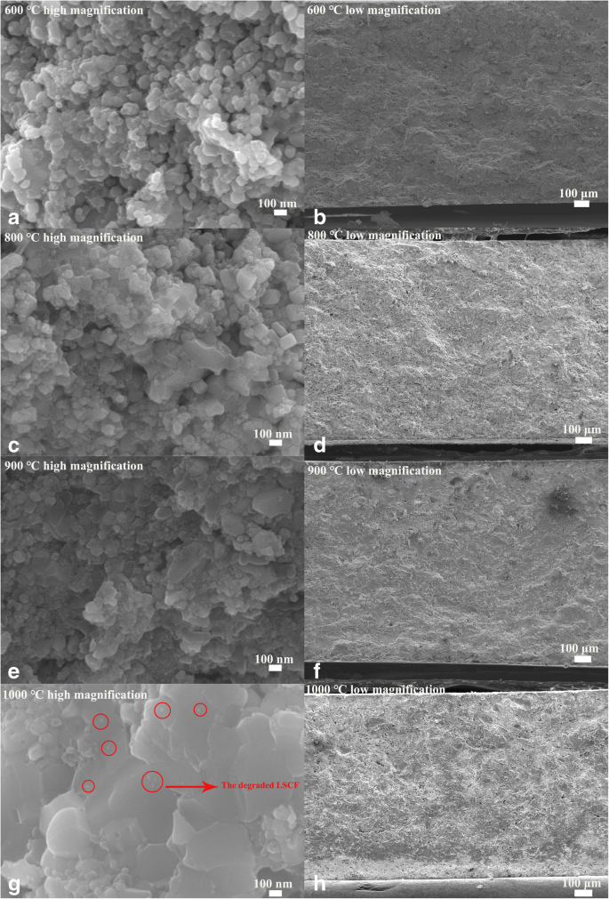 焼結温度がCe0.8Sm0.05Ca0.15O2-δ/La0.6Sr0.4Co0.2Fe0.8O3-δヘテロ構造電解質の電気化学性能に及ぼす影響