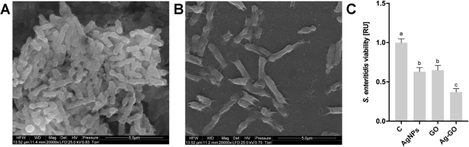 グラフェン酸化物による銀ナノ粒子コーティングの細胞毒性低減：Ag–GOナノコンポジットの抗菌性能向上と生体適合性