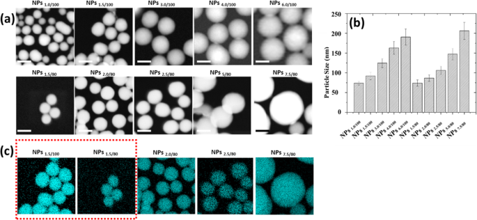 自己分解性SiO2ナノ粒子を用いた精密リソソームpHセンサーの開発