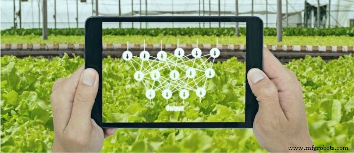 ディープラーニング vs 機械学習:AIの二大技術の決定的な違いを理解する