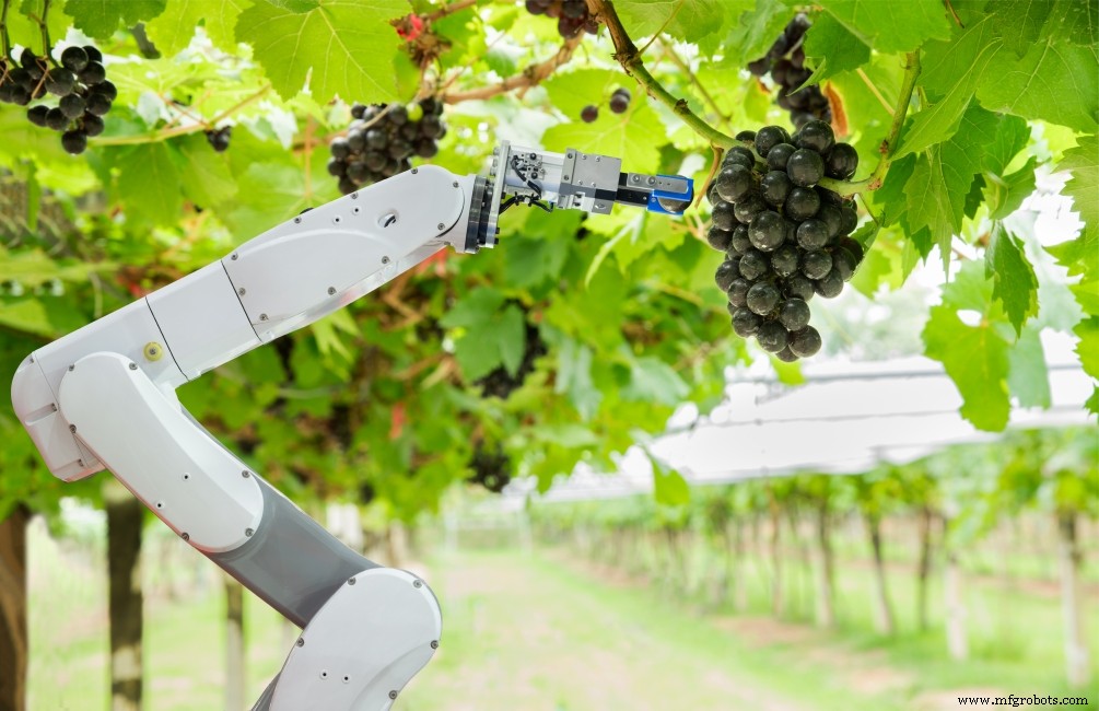 産業用ロボットの主要12用途：効率と安全性を向上